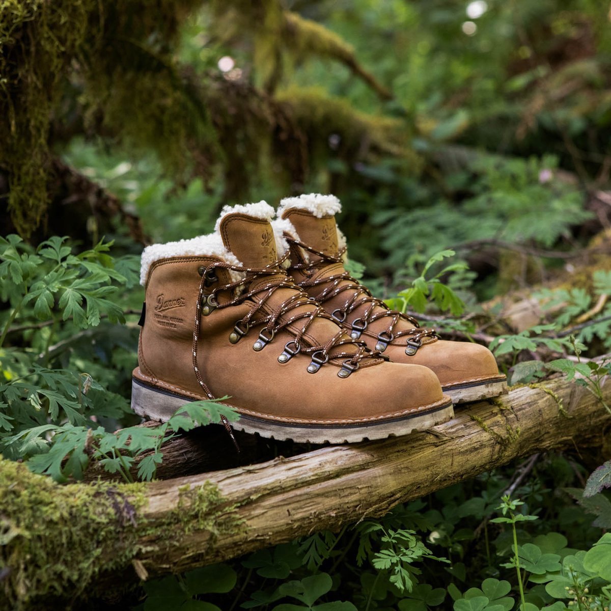 Mountain Pass Shearling